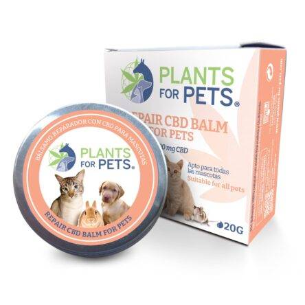 Plants for Pets – Huid Herstellende CBD balsem